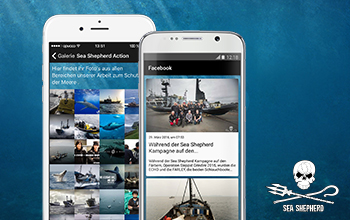 opwoco unterstützt Sea Shepherd Deutschland